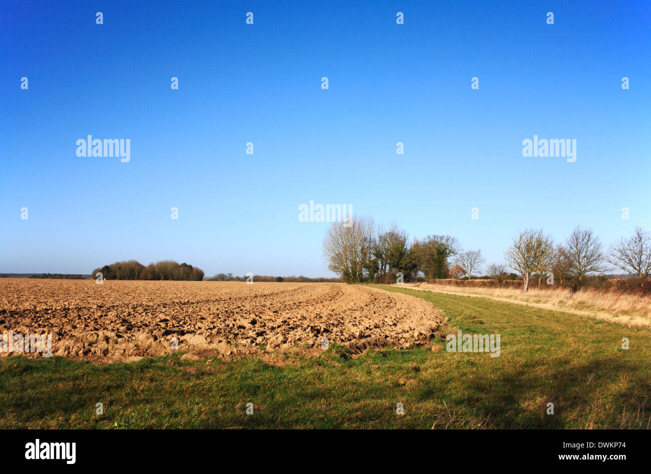 A freshly ploughed field with headland on an arable farm in Central