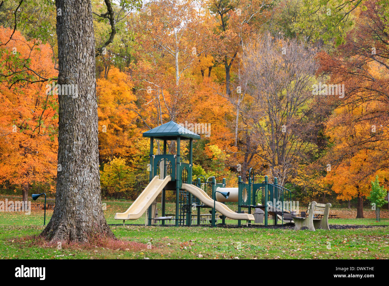 A Playground In The Park During The Peak Of Autumn In Sharon Woods