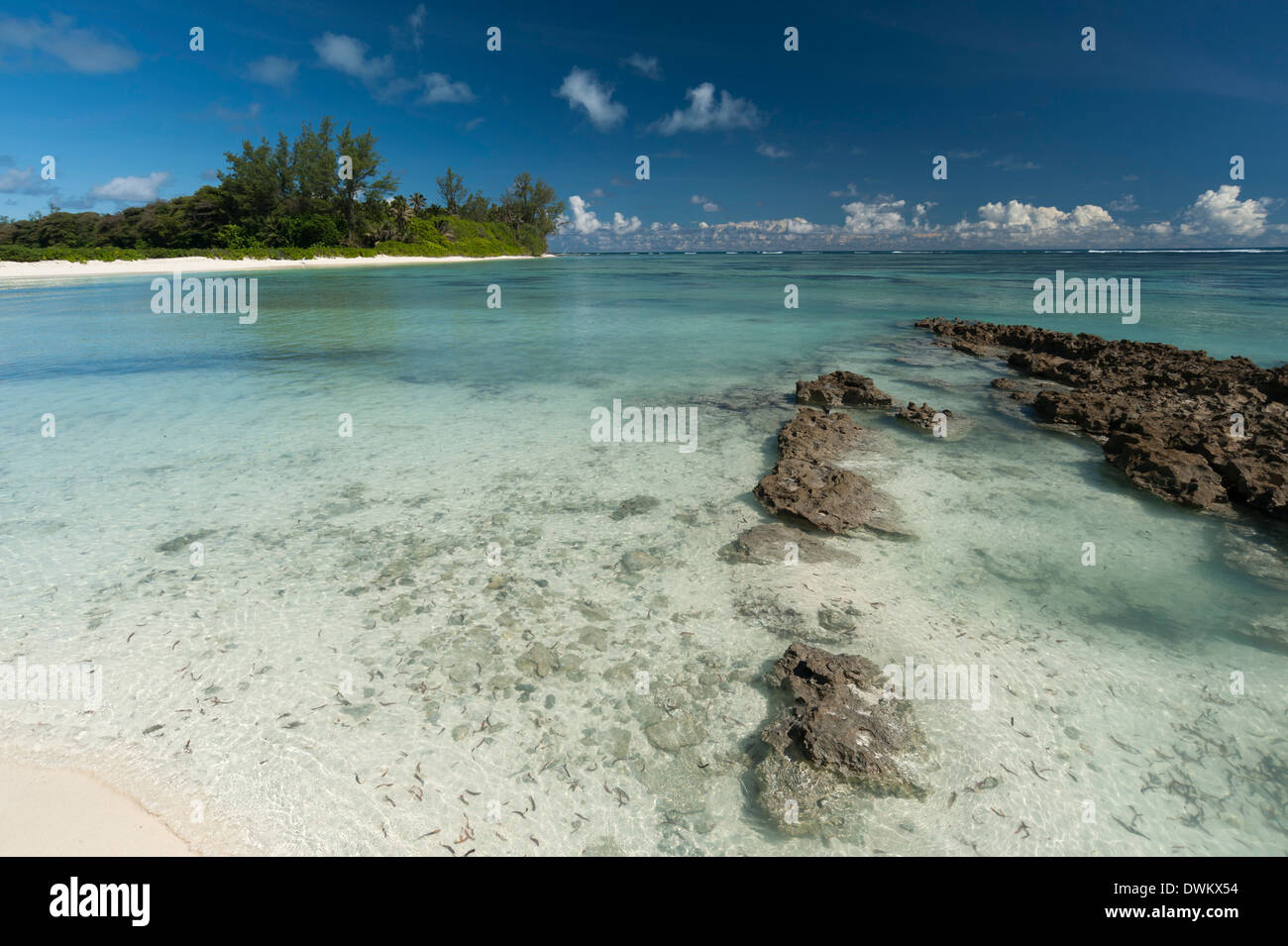 Denis Island, Seychelles, Indian Ocean, Africa Stock Photo