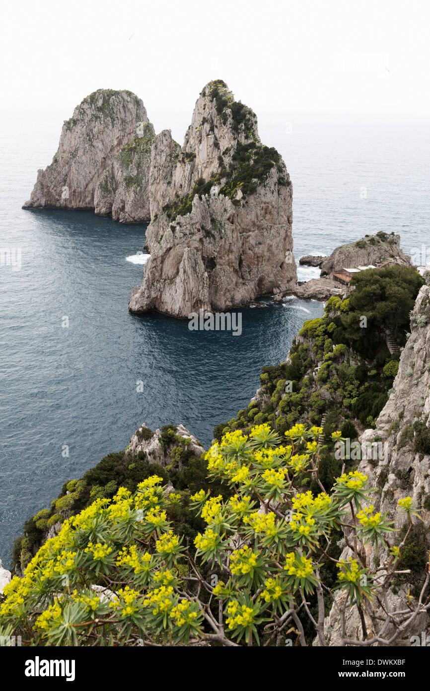 The rugged Faraglioni rocks in Capri, Campania, Italy, Mediterranean ...
