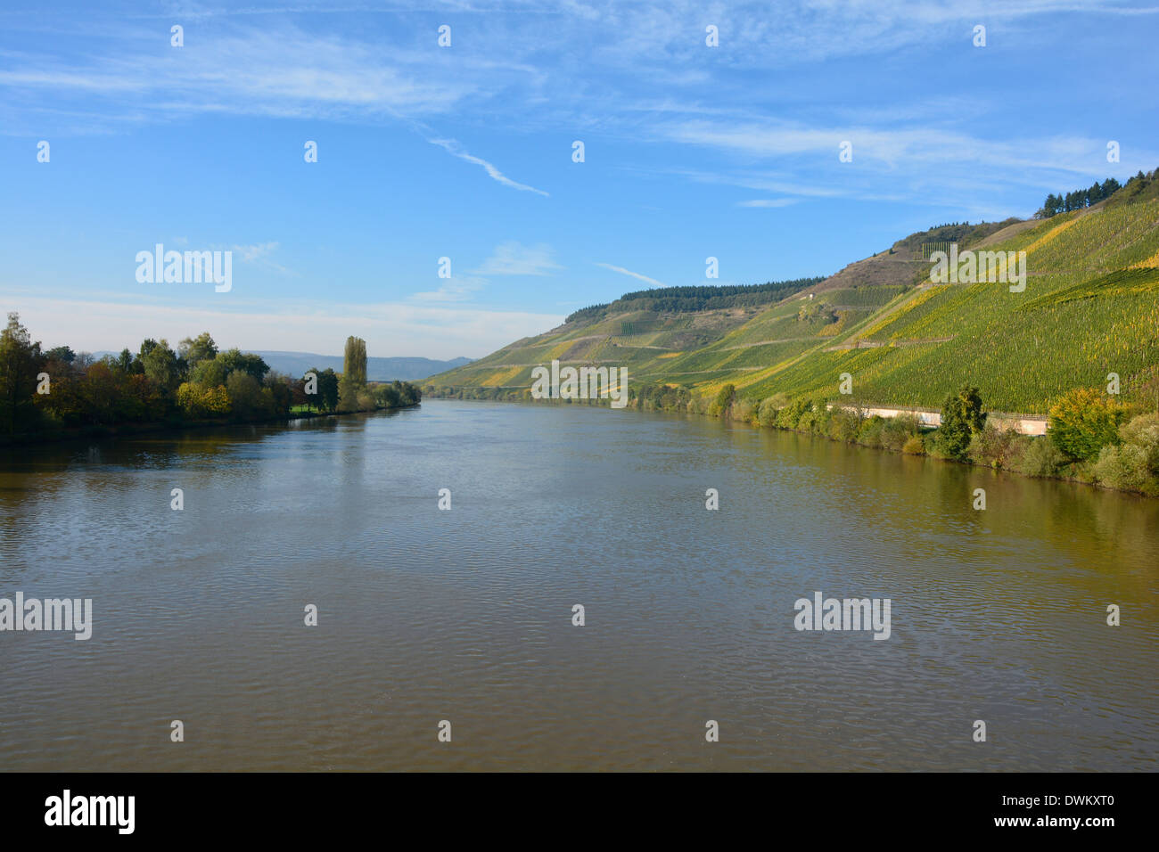 Moselle river valley vineyards landscape blue sky Germany Mosel Flusslandschaft Mosellandschaft Weinberge blauer Himmel Stock Photo