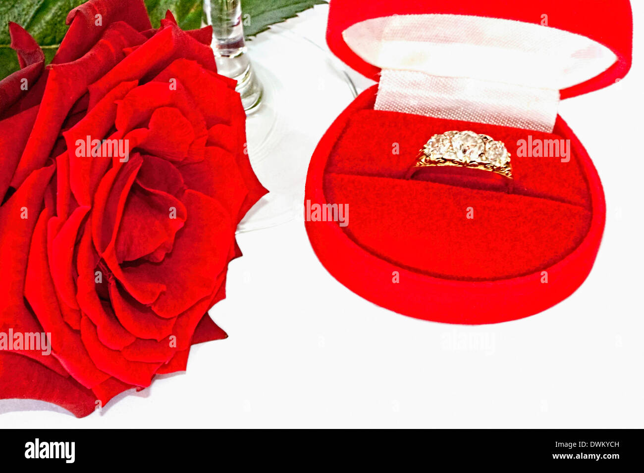 deep red rose ring