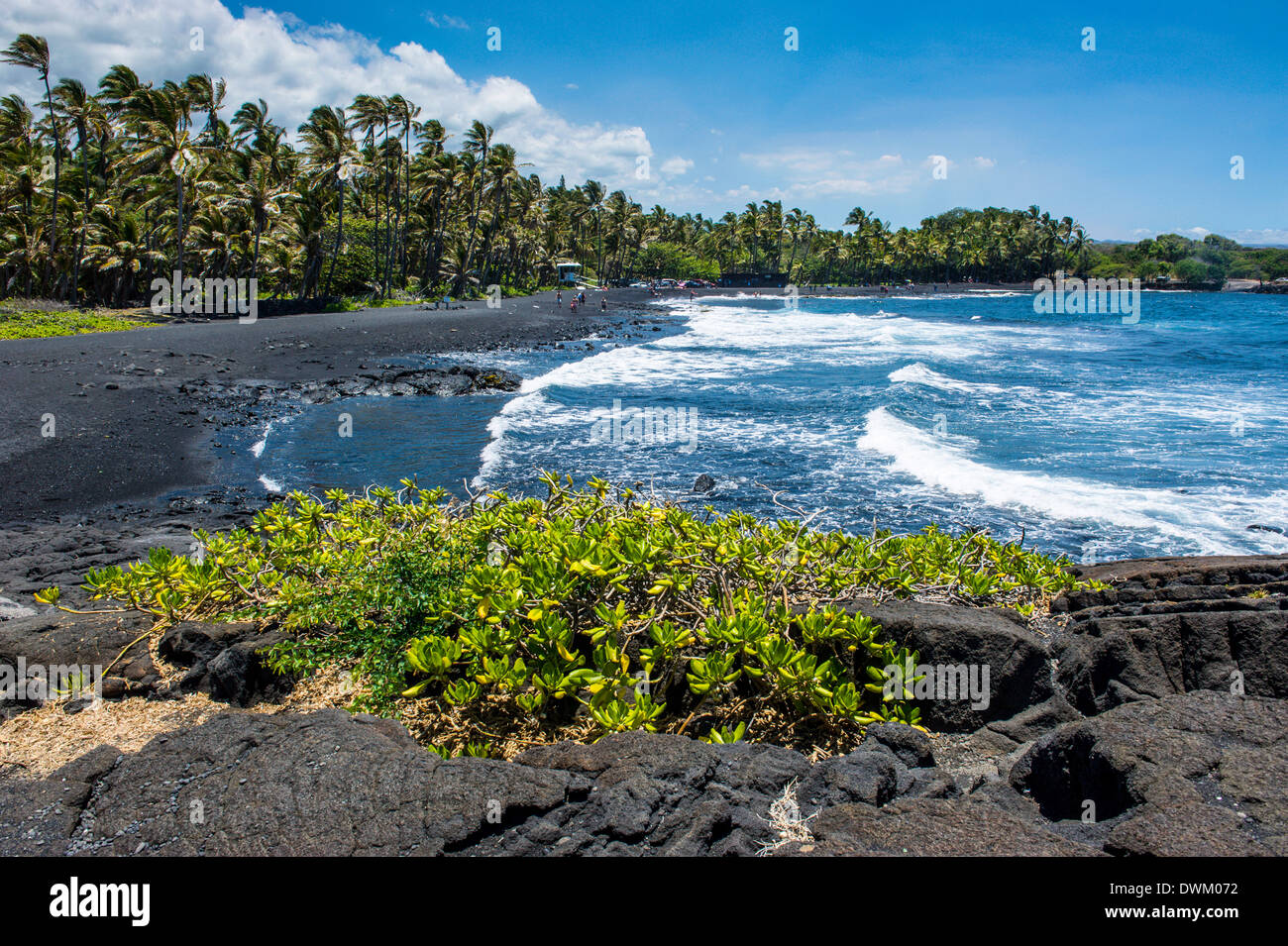 Punaluu Black Sand Beach on Big Island, Hawaii, United States of America, Pacific Stock Photo