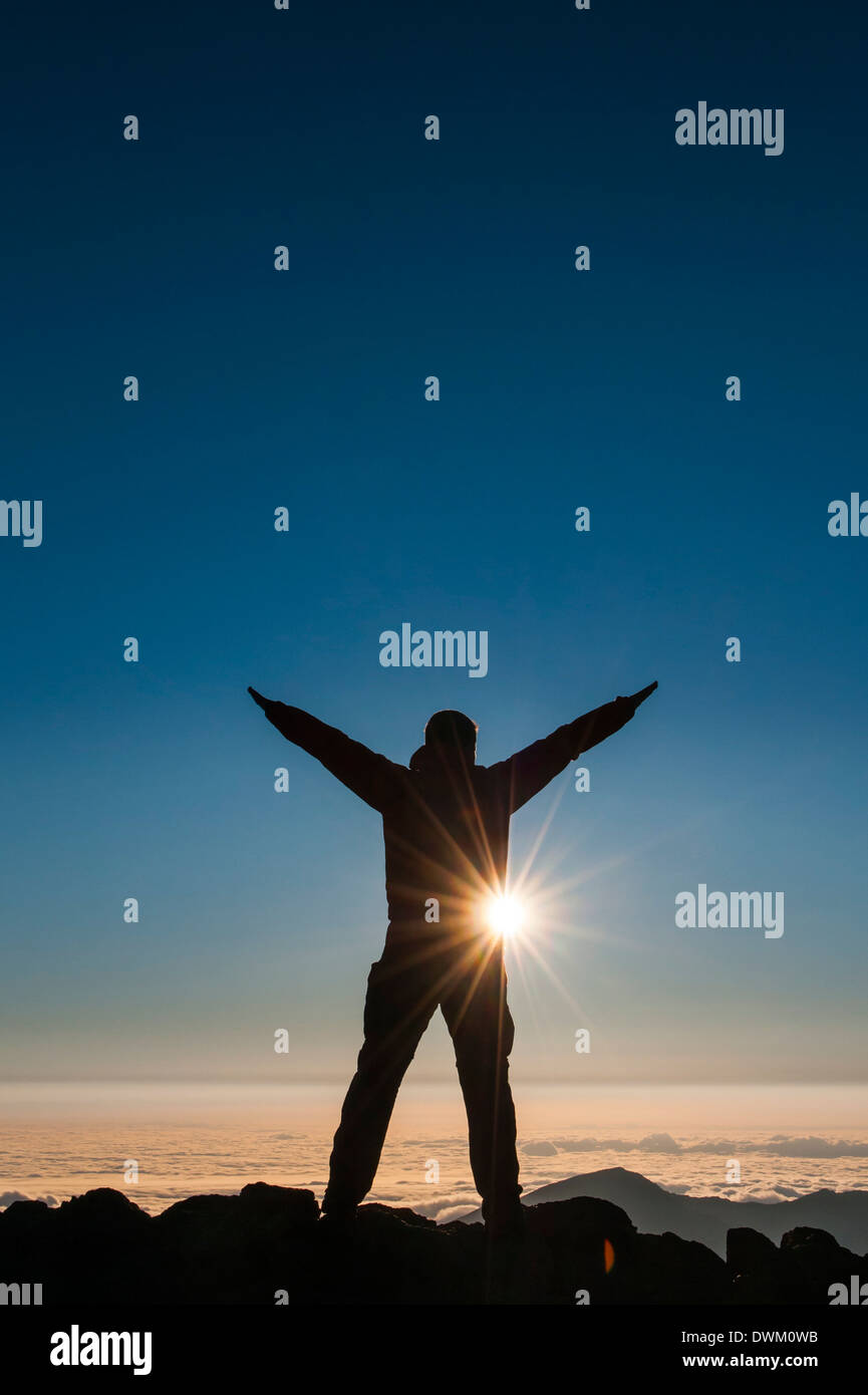 Backlit image in full sun hi-res stock photography and images - Alamy
