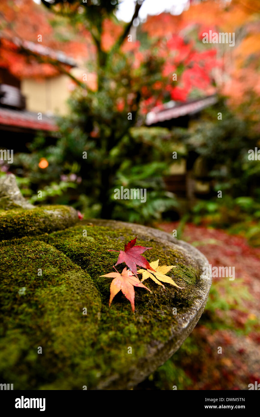 Vibrant Autumn Color with Japan traditional building alongside the first half of the trail to Mino Waterfall, Osaka, Japan Stock Photo