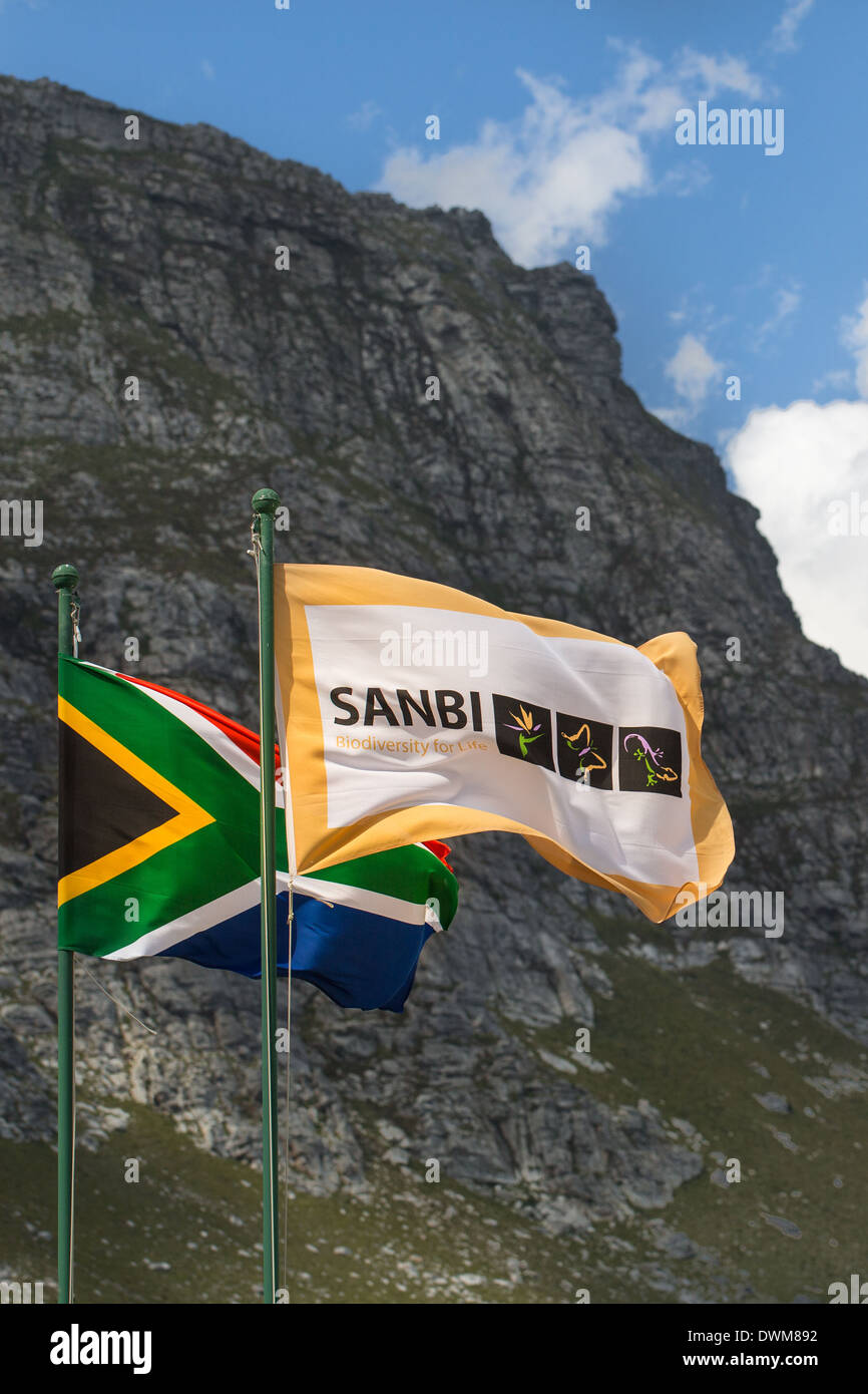 South African flag and the SANBI (South African National Biodiversity Institute) flag outside Harold Porter Botanical garden Stock Photo