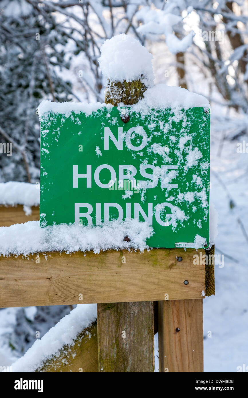 Snow covered sign instructing 'No Horse Riding', Norfolk, UK. Stock Photo