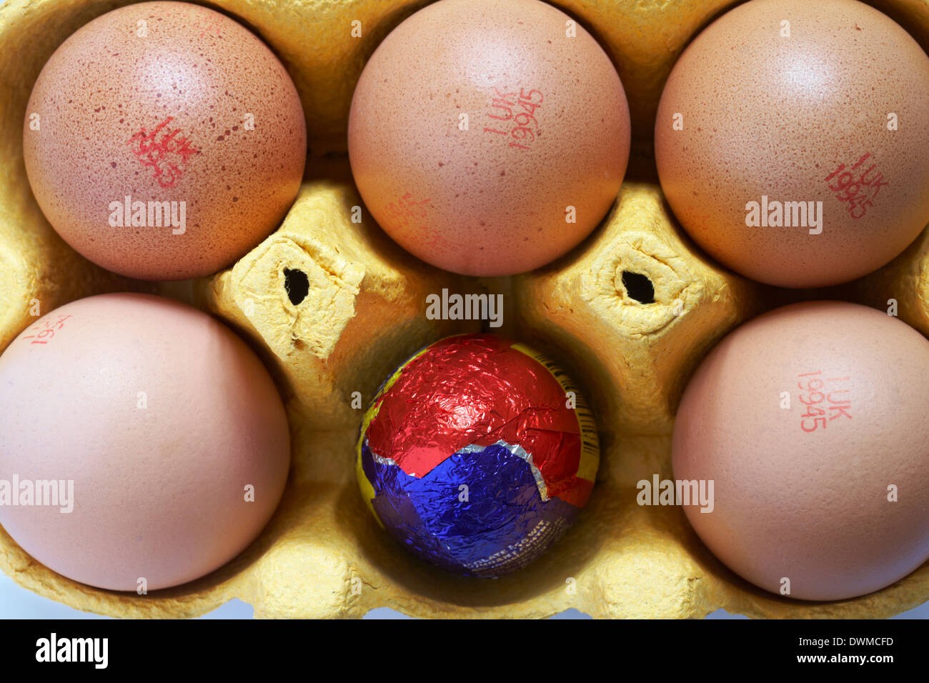 carton of free range eggs with one replaced by a Cadbury creme egg - concept different, standing out from the crowd, odd one out Stock Photo