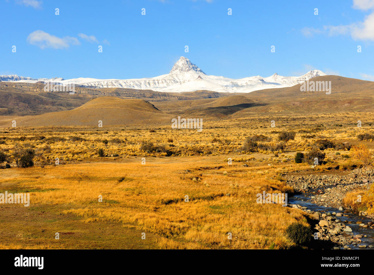 Patagonian steppe, Santa Cruz province, Patagonia, Argentina, South America Stock Photo