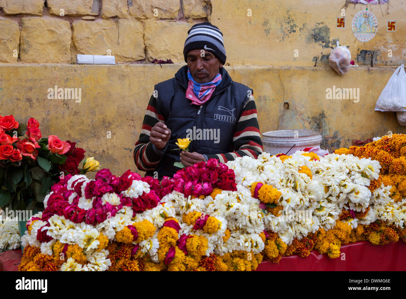 Jaipur, Rajasthan, India. Vendor of Flower Garlands for a Nearby Temple.  Hindu swastikas on wall for good luck. Stock Photo