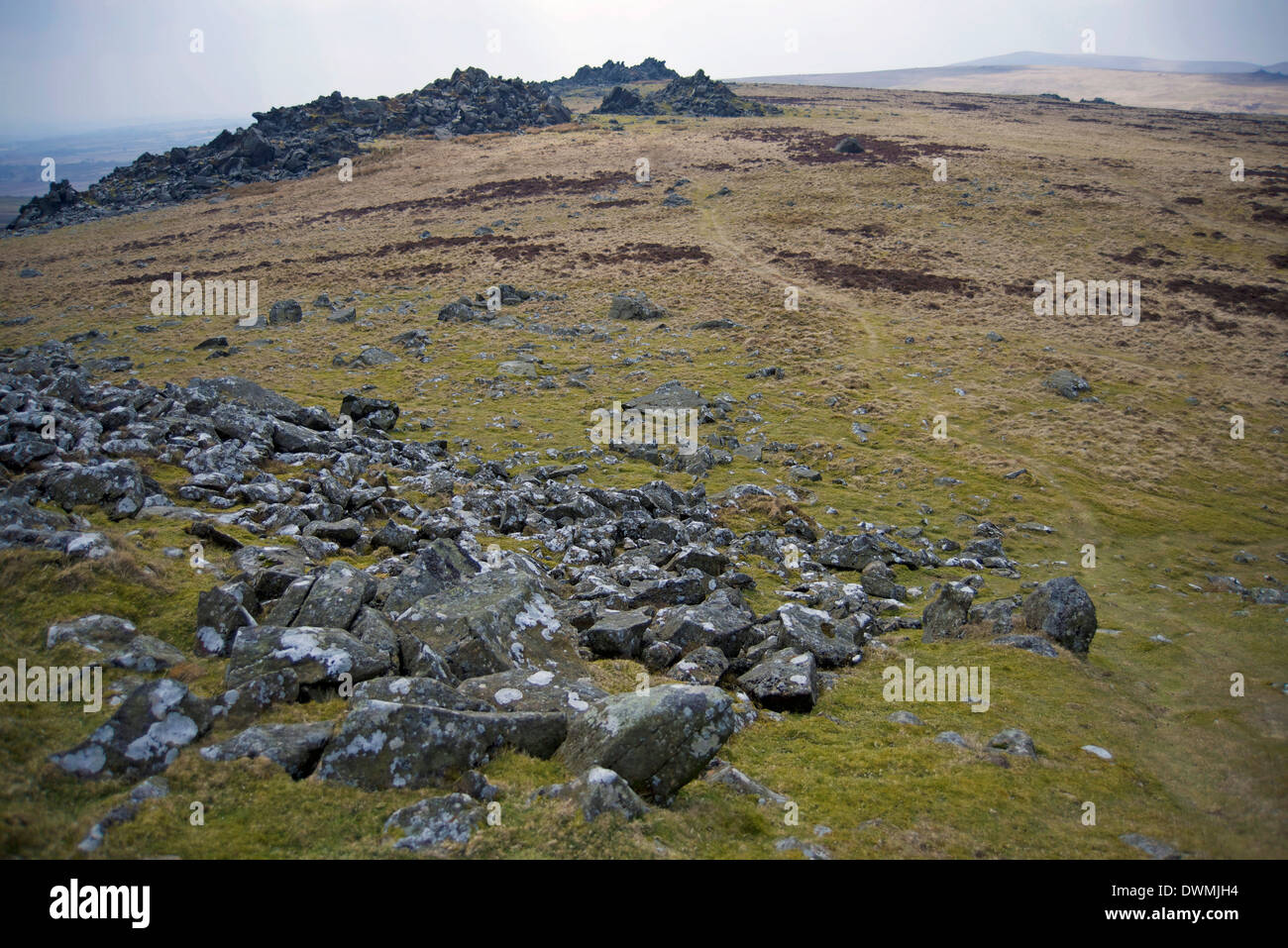 Preseli Hills (Mynyddoedd Y Preseli), source of Stonehenge bluestone megaliths, Pembrokeshire, Wales, United Kingdom, Europe Stock Photo