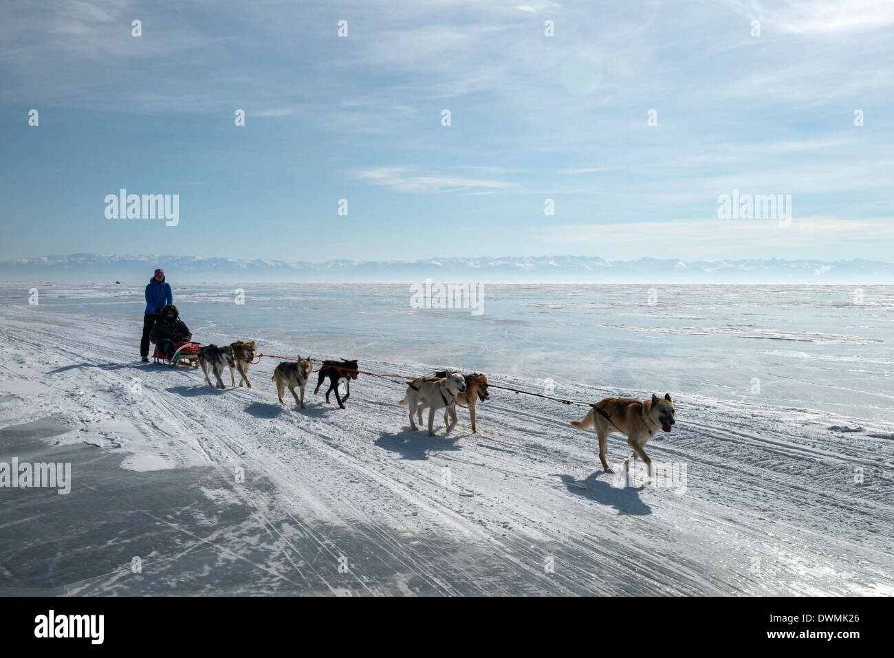 Visitors enjoying dog sledding on the ice in front of the village of