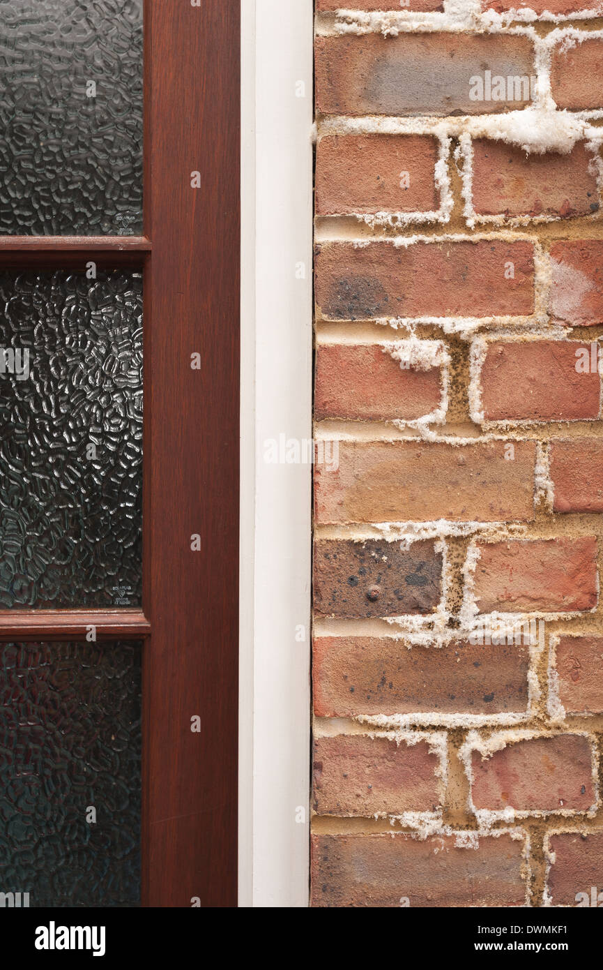 Efflorescence on brick wall hires stock photography and images Alamy