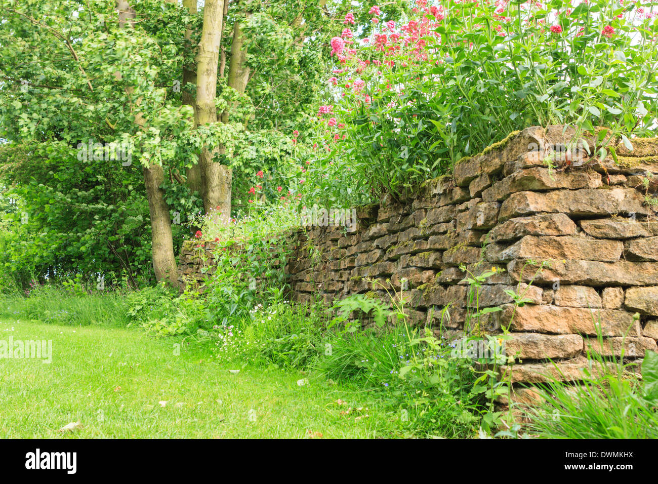 English Cottage Garden And Dry Stone Wall Stock Photo 67451942
