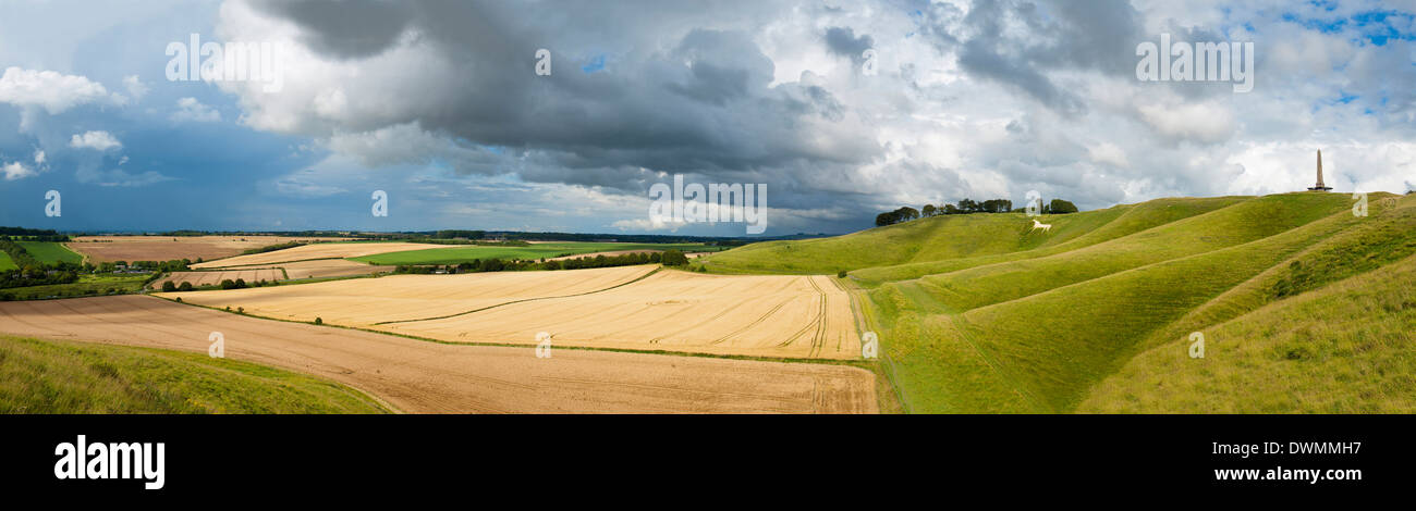 Panoramic landscape view of The Cherhill Downs, Wiltshire, England, United Kingdom, Europe Stock Photo