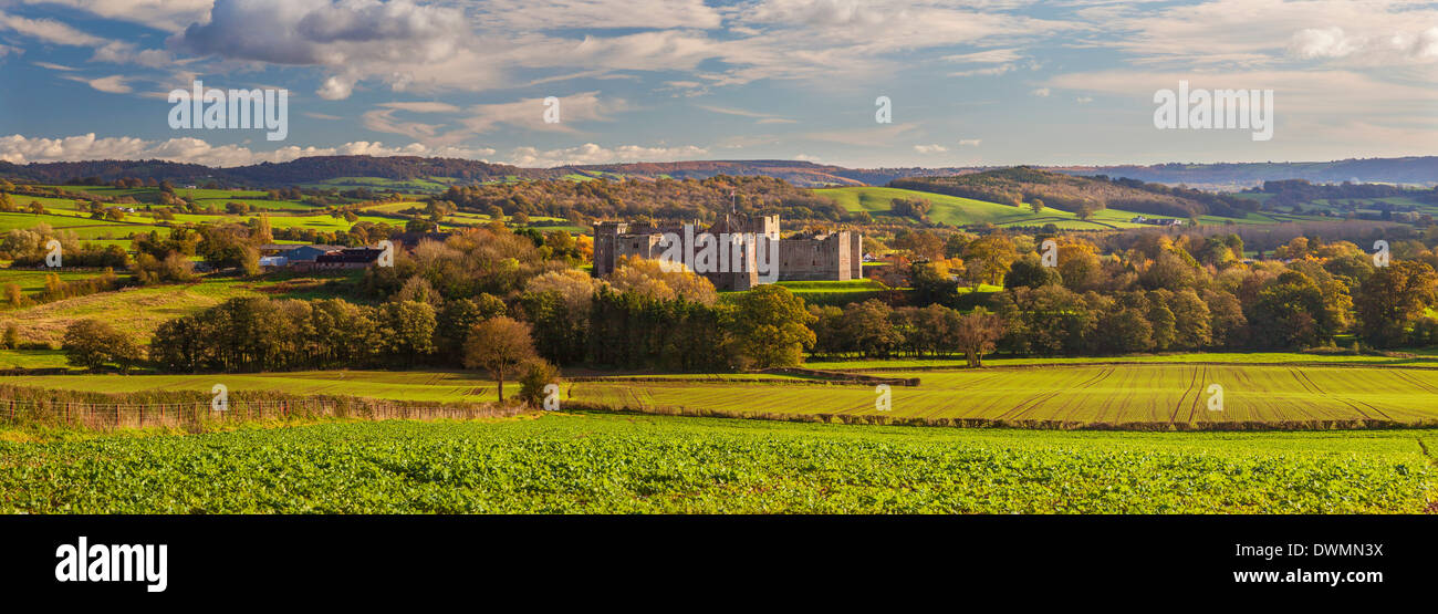 Raglan Castle, Monmouthshire, Wales, United Kingdom, Europe Stock Photo