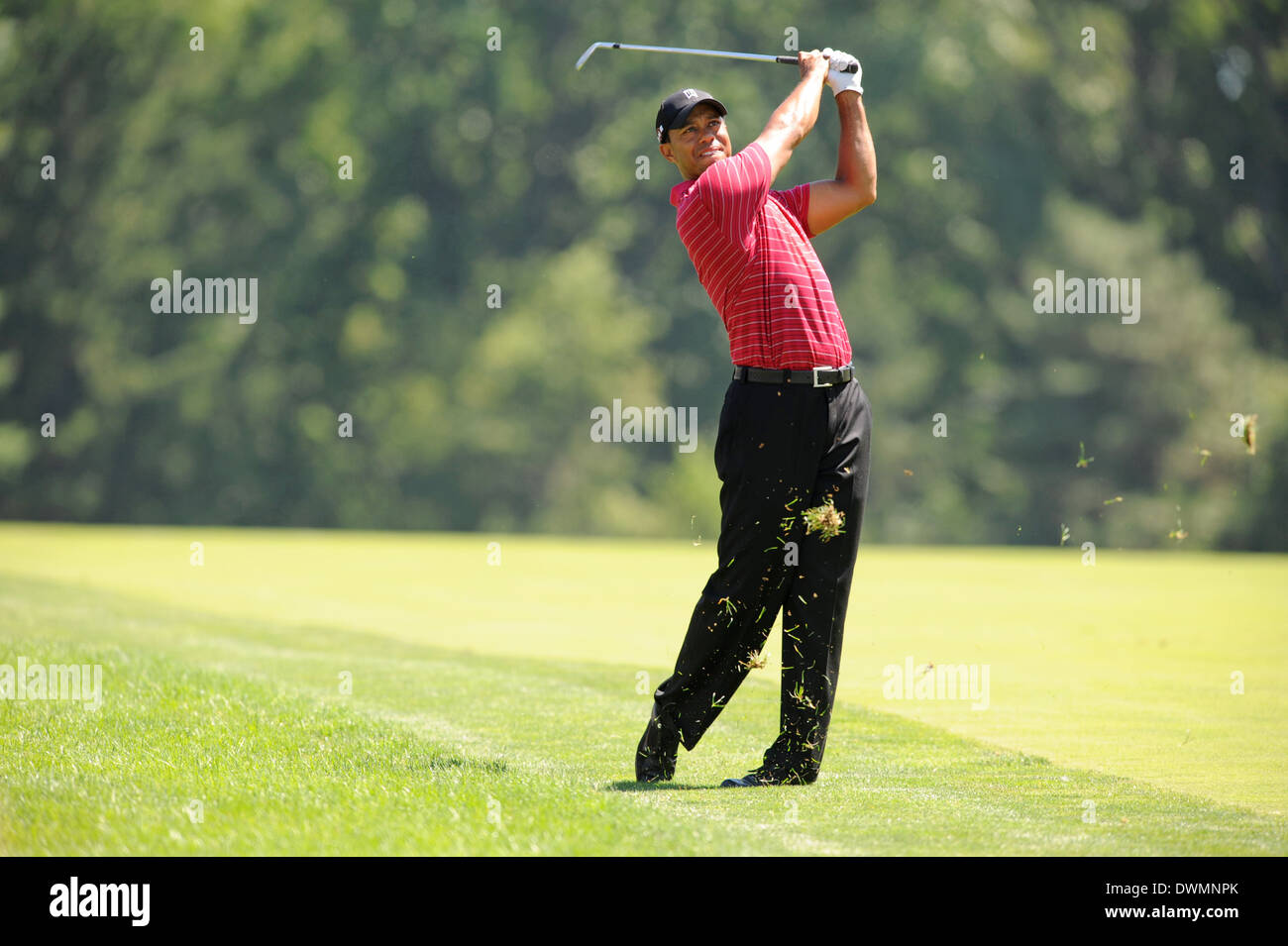 Tiger Woods competes during PGA tour at Aronimink Golf Club in Newtown Square, PA, USA. Stock Photo