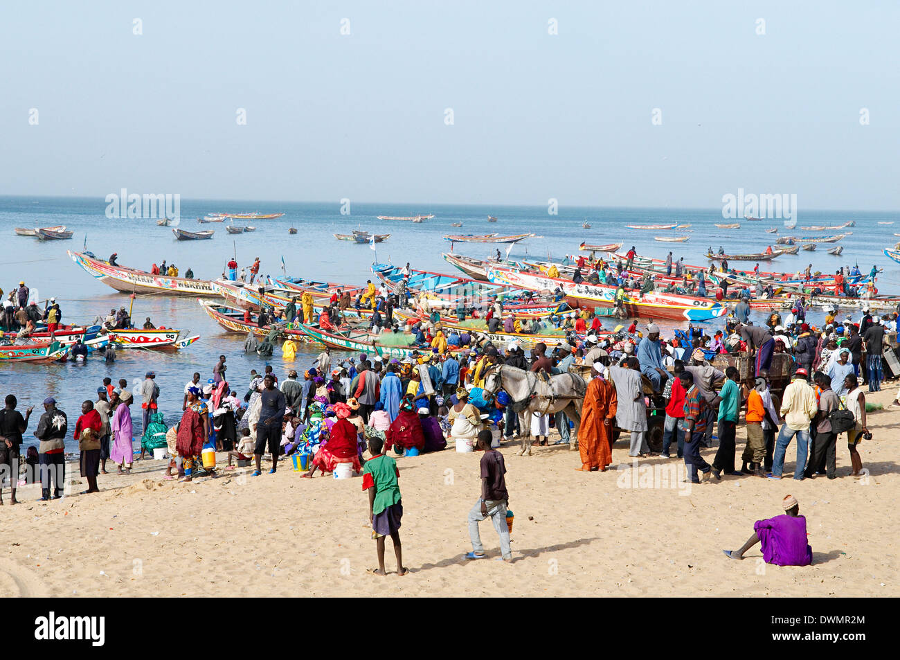 Mbour fishing harbour on the Petite Cote (Small Coast), Senegal, West Africa, Africa Stock Photo