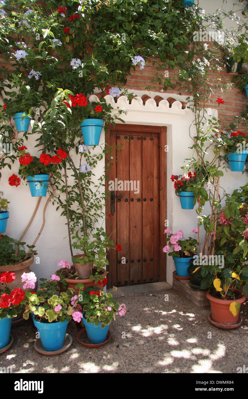 Spain in the summer, costa del sol.  Welcoming wooden door surrounded    with flowers and vin leafs Stock Photo