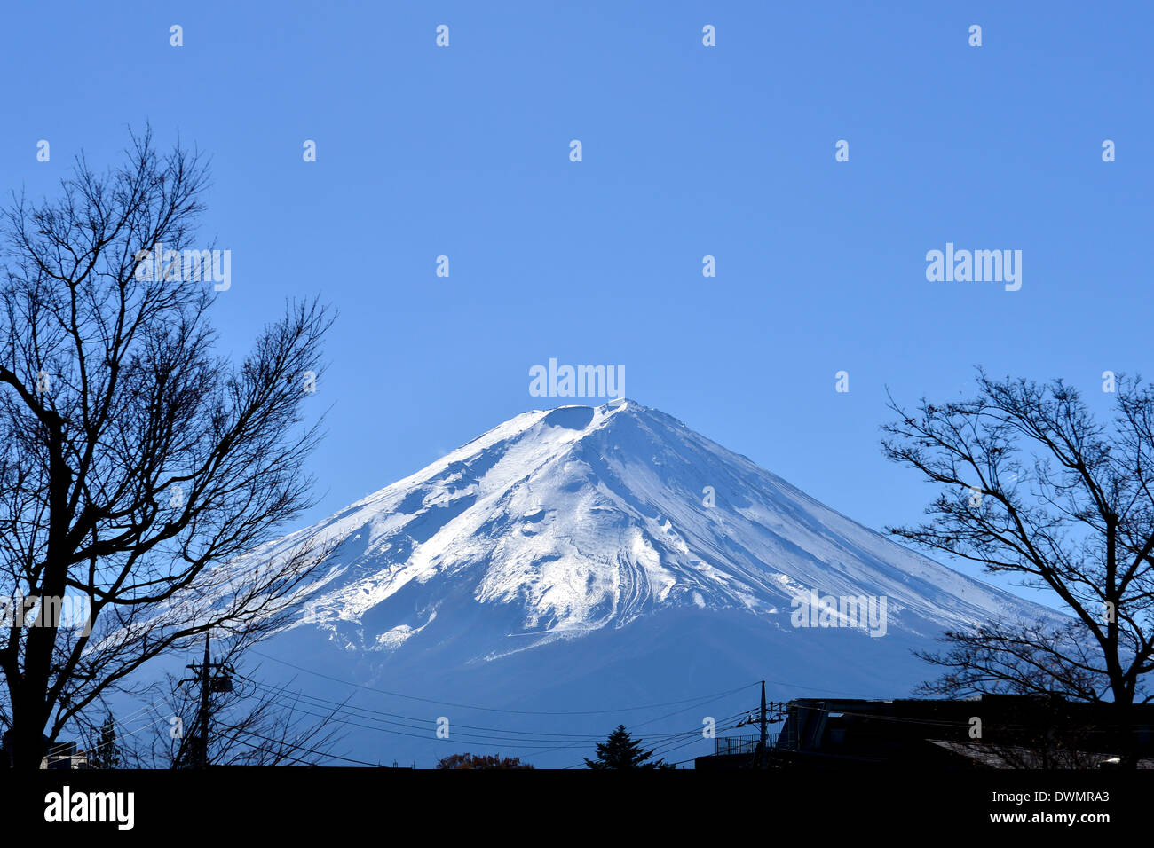 Mt. Fuji Stock Photo