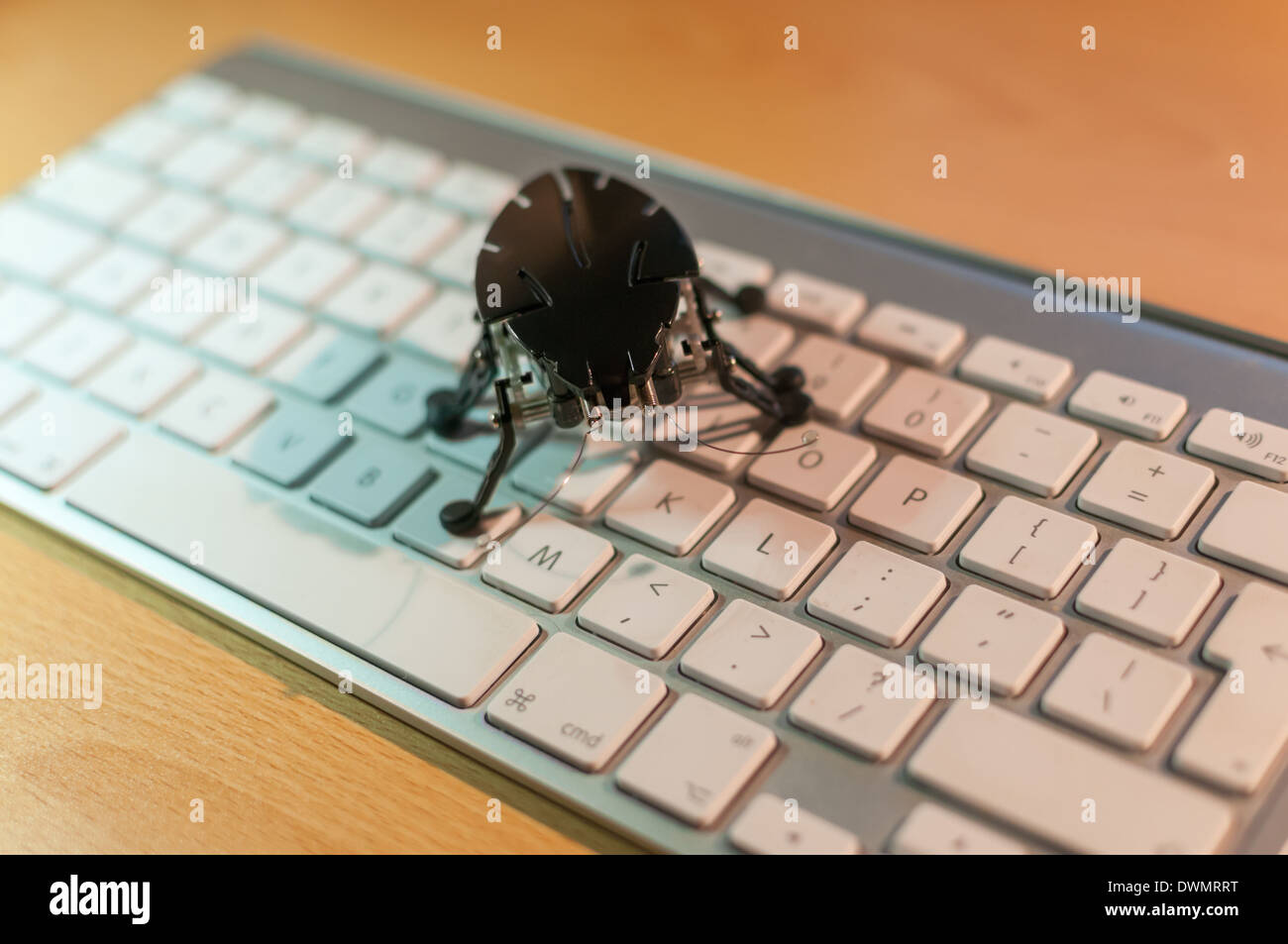 Computer Bug Stock Photo