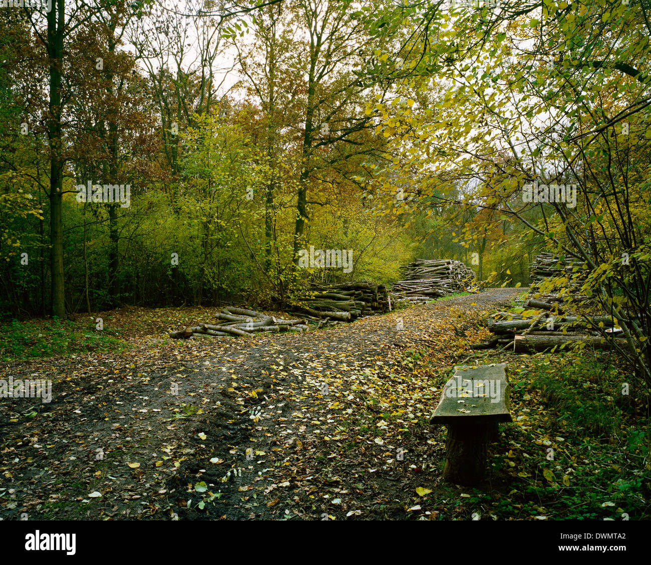 Gamlingay hires stock photography and images Alamy