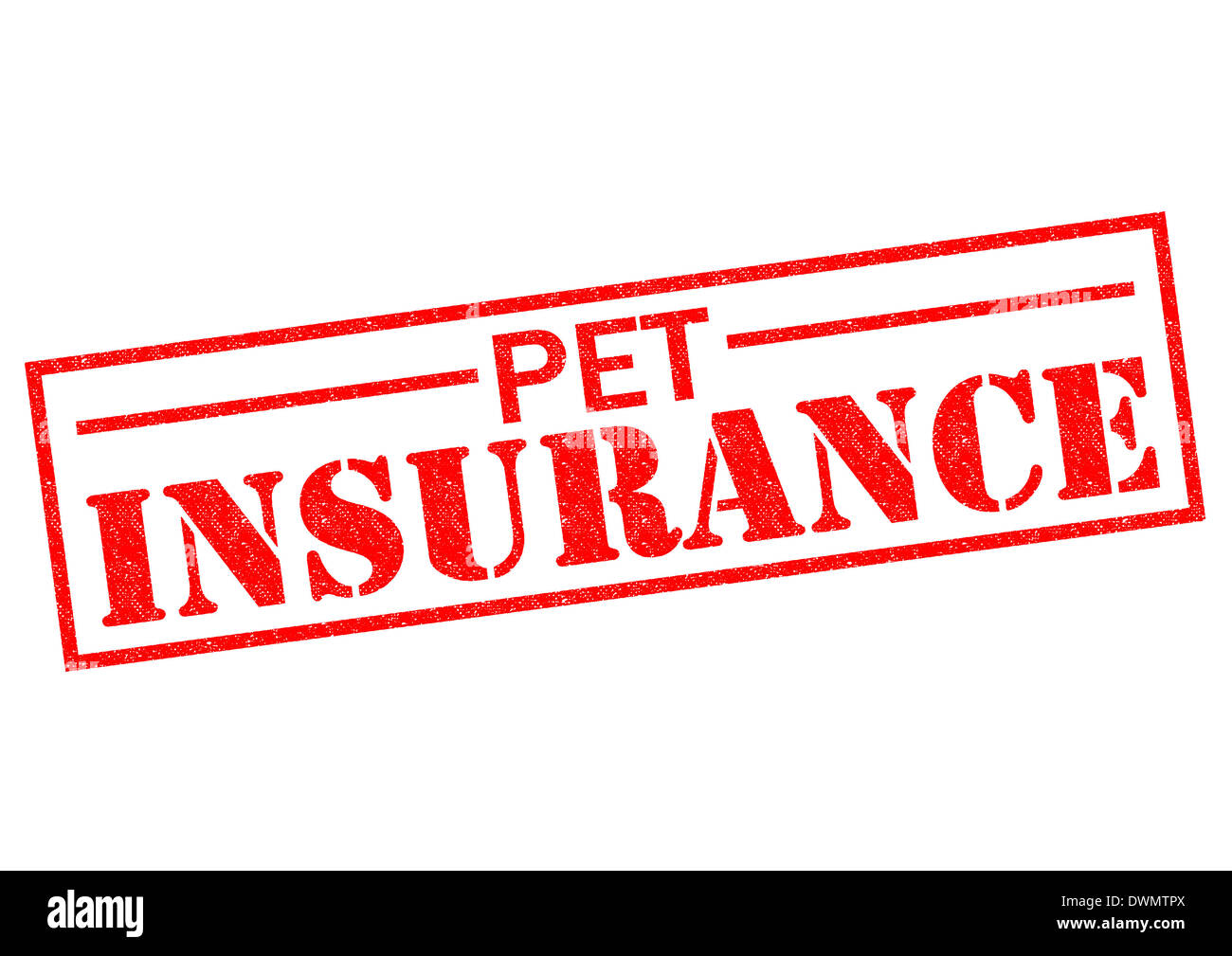 PET INSURANCE red Rubber Stamp over a white background Stock Photo Alamy