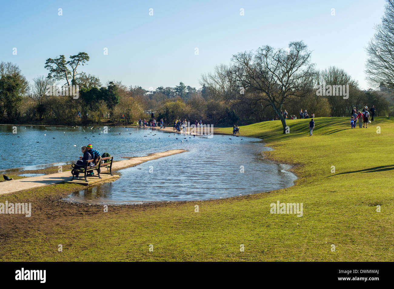 Pond in Verulamium Park, St Albans, still flooded on 9 March 2014, after the wettest winter on record. Stock Photo