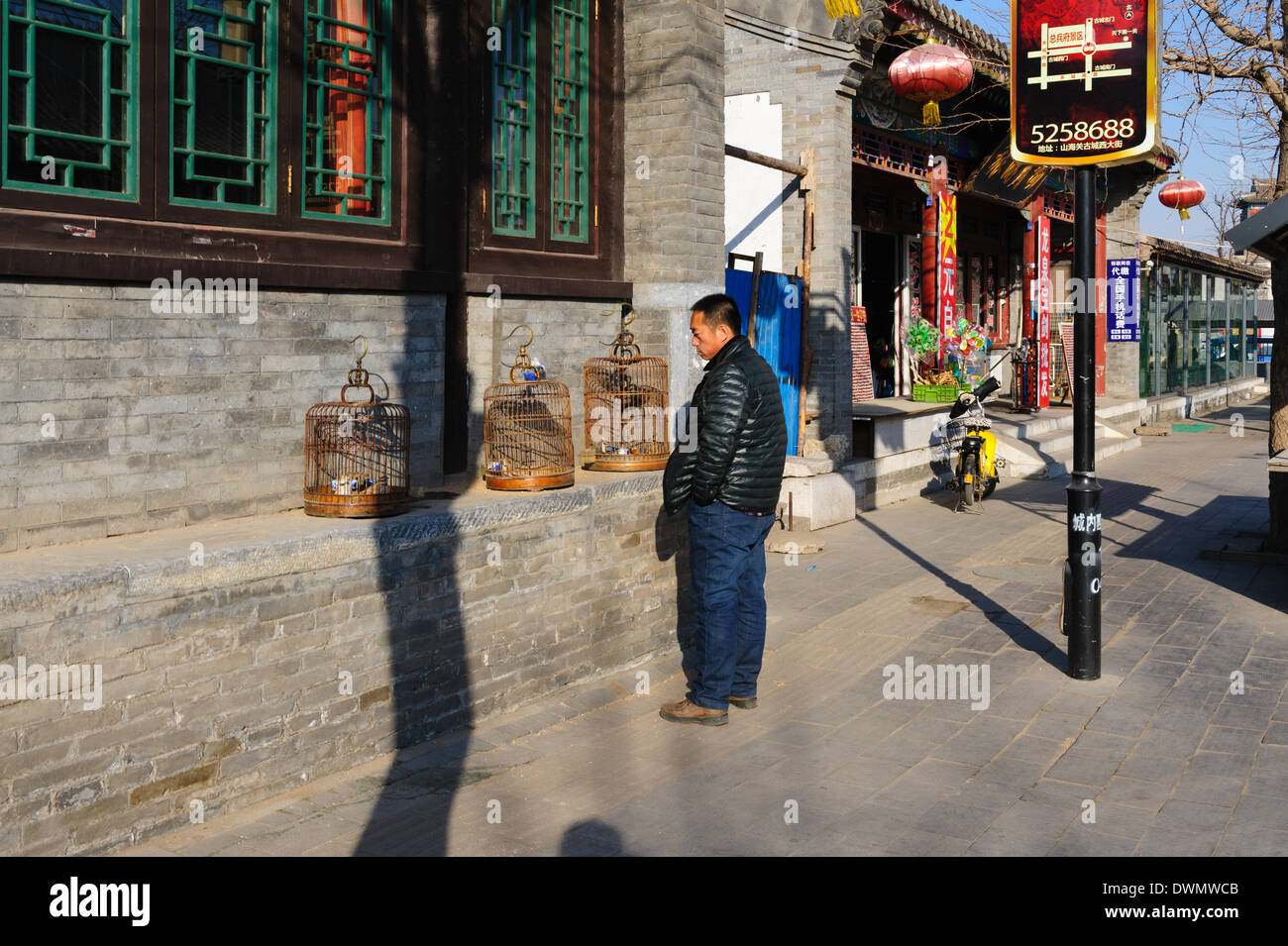 Man looking at three birdcages in the reconstructed Old Town of Shanhaiguan. Hebei Province, China. Stock Photo