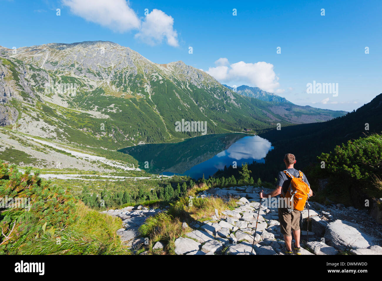 Lake Morskie Oko (Eye of the Sea), Zakopane, Carpathian Mountains, Poland, Europe Stock Photo