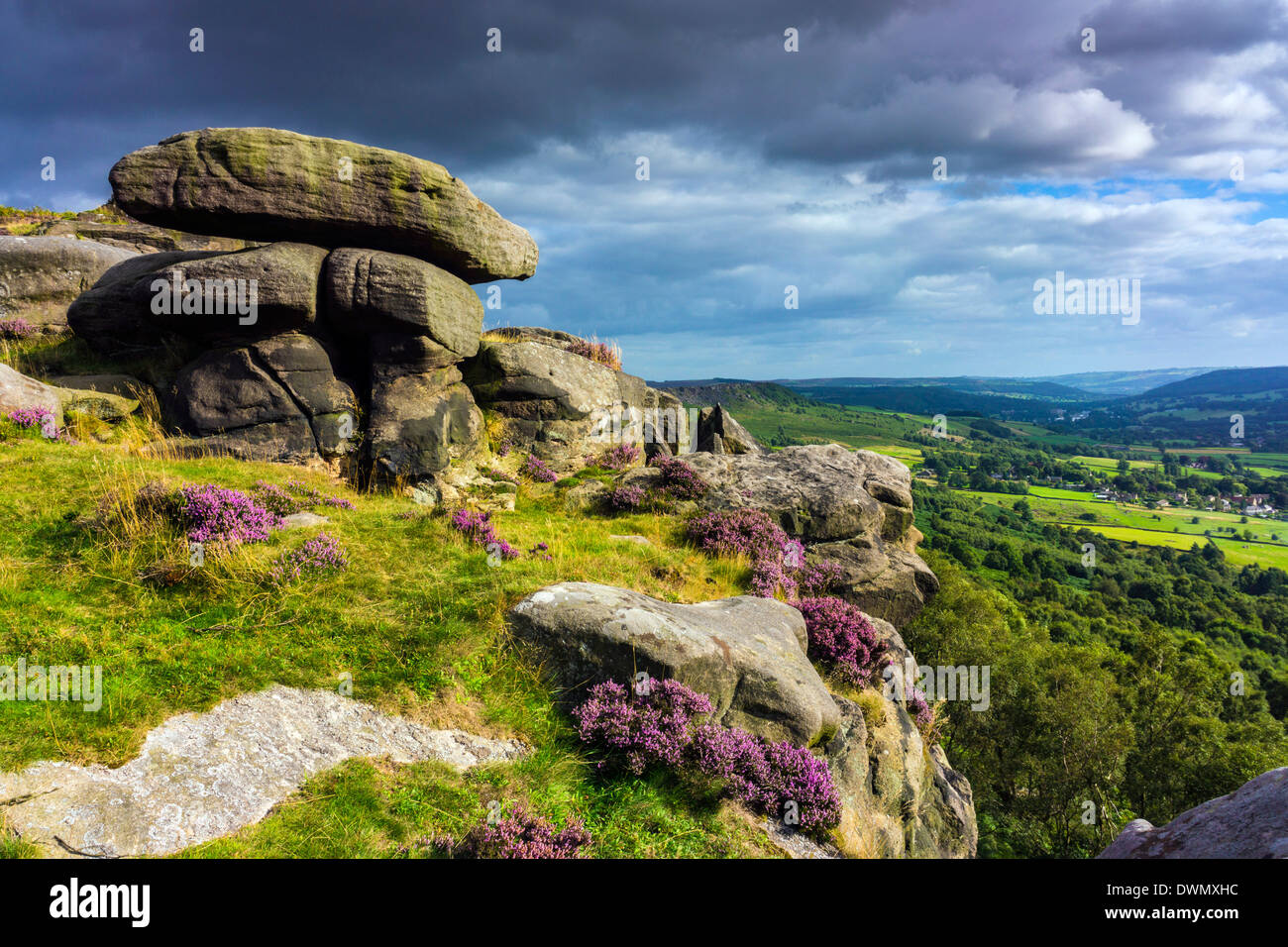 Gritstone boulders, purple heather, Curbar Edge, Derbyshire, Peak District Stock Photo