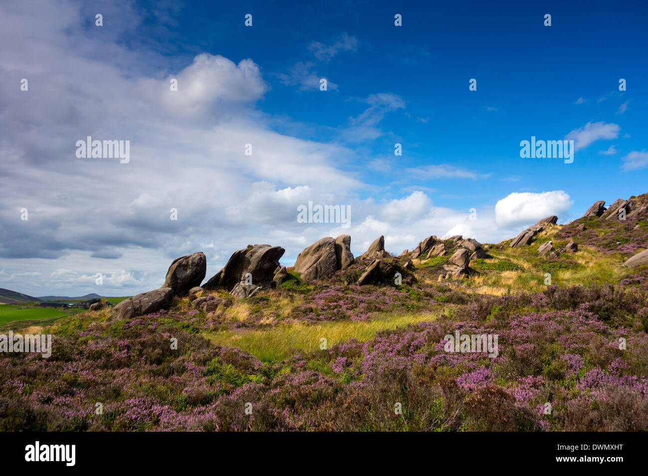 Gritstone cliffs, Ramshaw Rocks, Staffordshire, Peak District Stock Photo