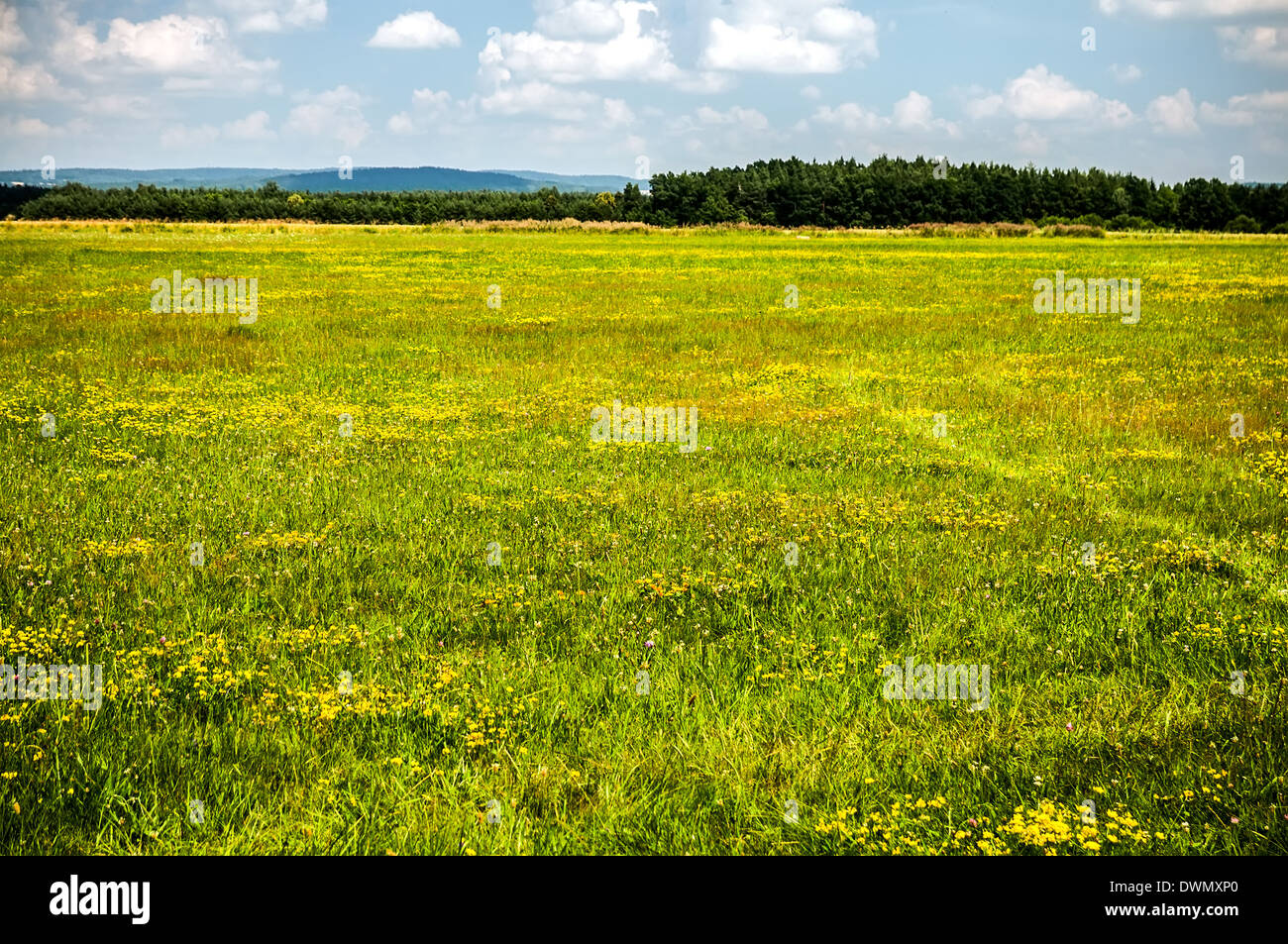 Image of green grass field and cloudy blue sky hi-res stock photography ...