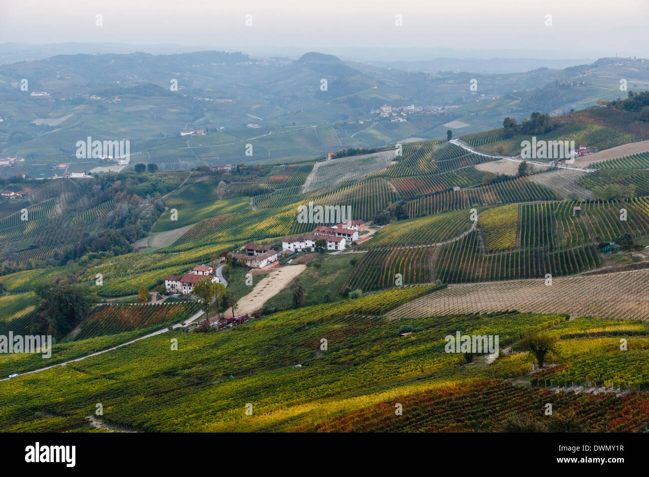 Vineyards near La Morra, Langhe, Cuneo district, Piedmont, Italy, Europe Stock Photo