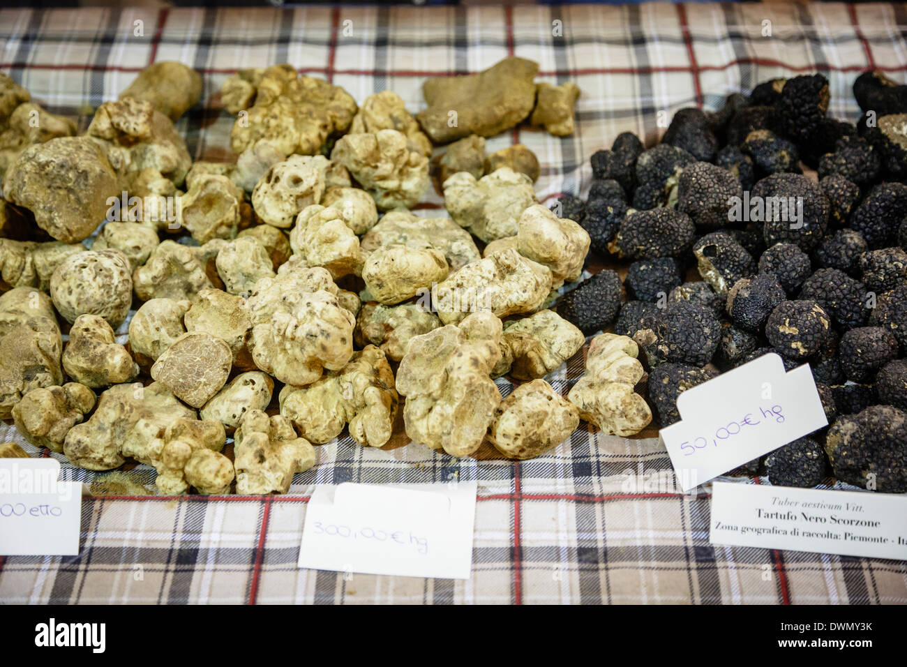 White and black truffles for sale at the Truffle Fair in Alba, Langhe