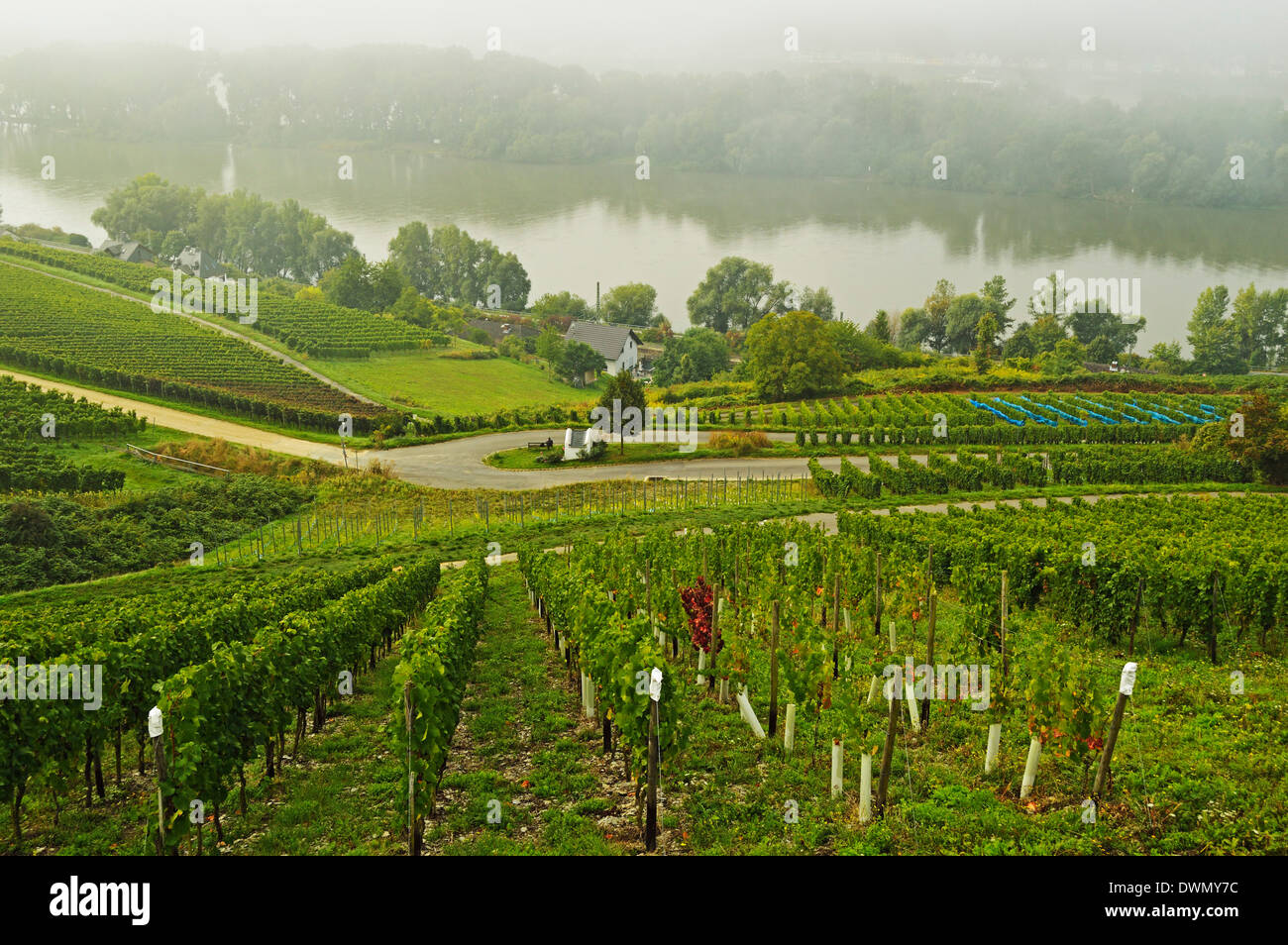 Lorch hi-res stock photography and images - Alamy