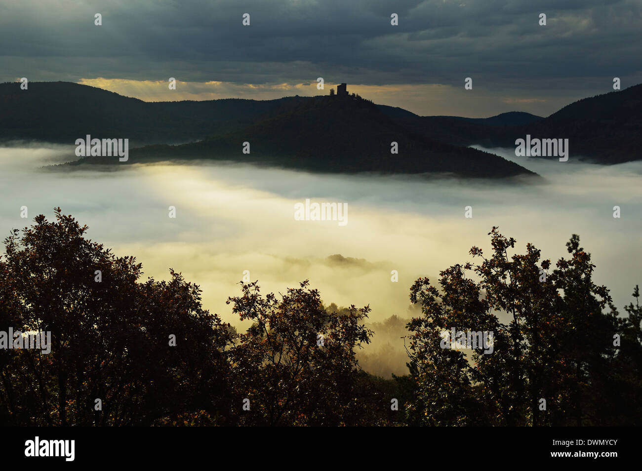 View of Castle Trifels, Palatinate Forest, near Annweiler, Rhineland-Palatinate, Germany, Europe Stock Photo