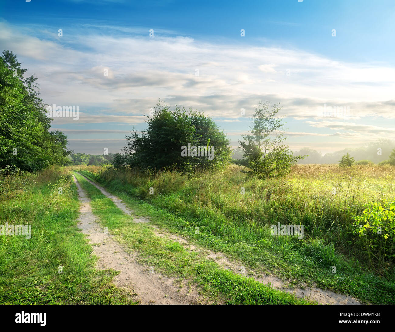 Country road and green field at sunrise Stock Photo - Alamy