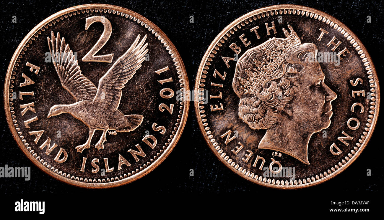 2 pence coin, Goose, Queen Elizabeth II, Falkland islands, 2011 Stock Photo