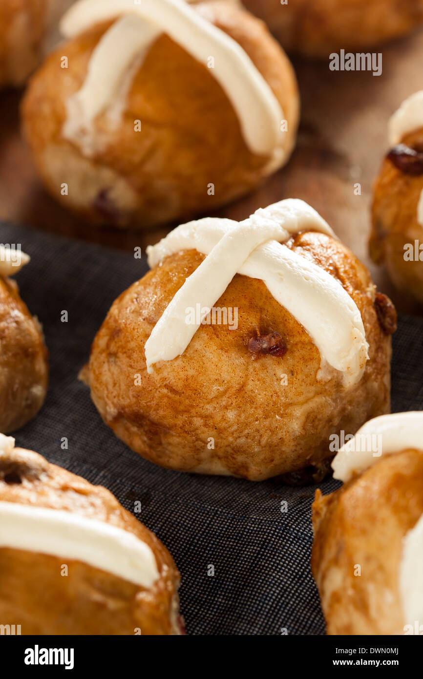 Homemade Hot Cross Buns with Cranberries for Easter Stock Photo
