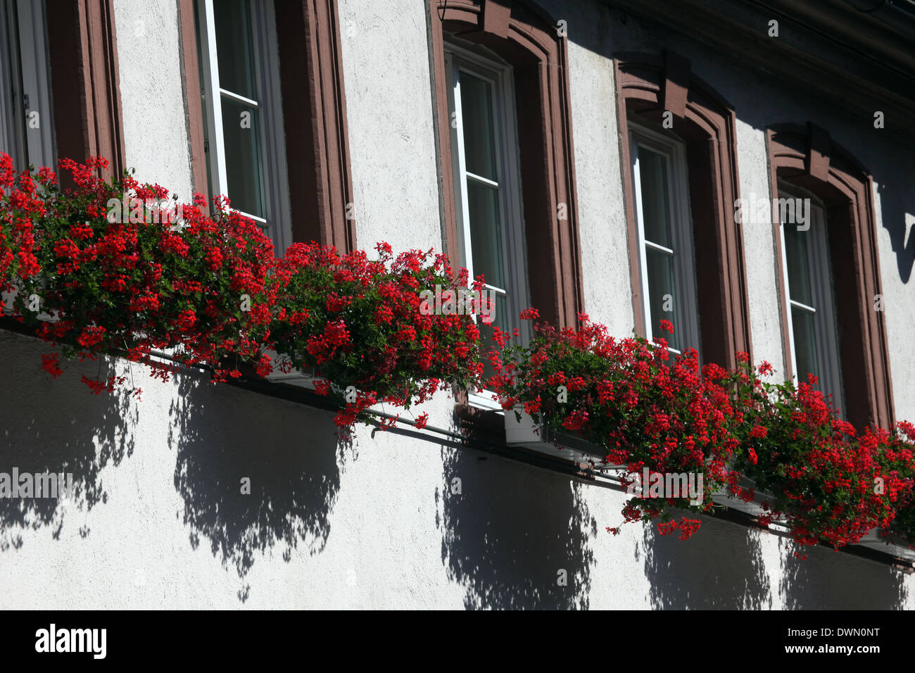 Miltenberg, Bavaria, Germany. Old part of town, well-maintained timbered houses with flower boxes Stock Photo
