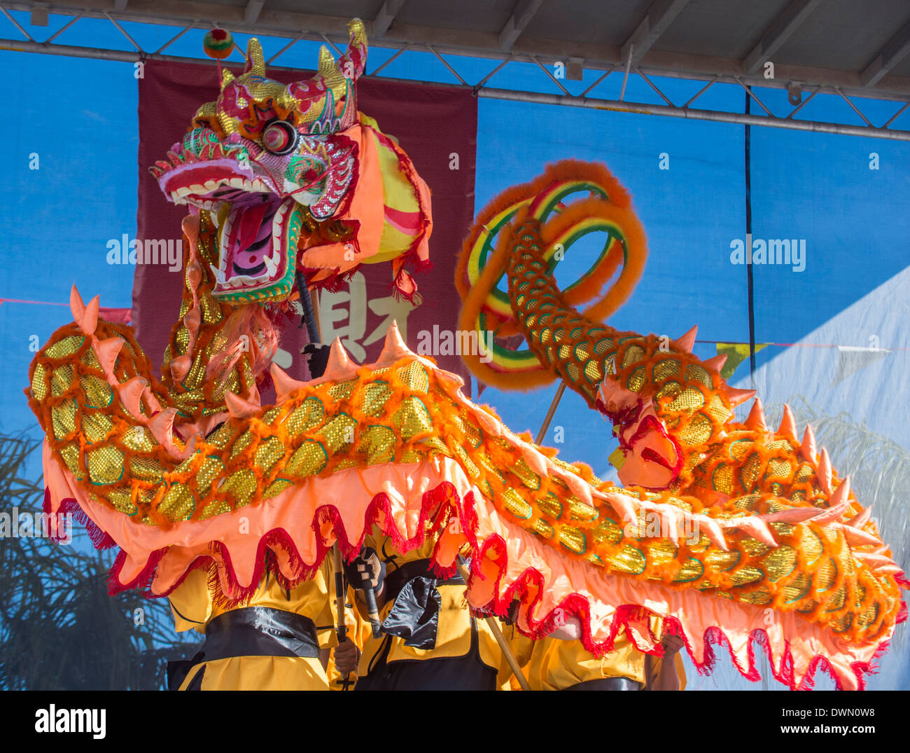 Dragon dance performers during the Chinese New Year celebrations held in Las Vegas , Nevada Stock Photo