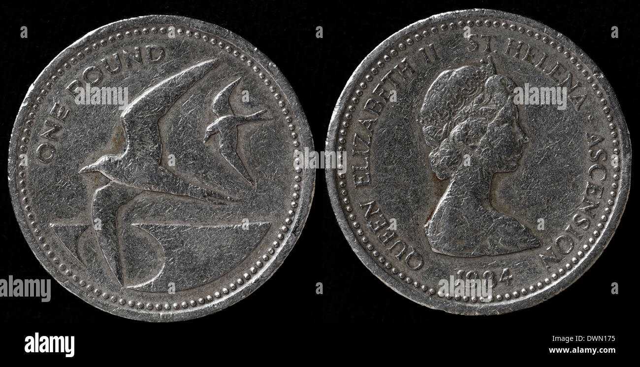1 Pound coin, St. Helena island, 1984 Stock Photo