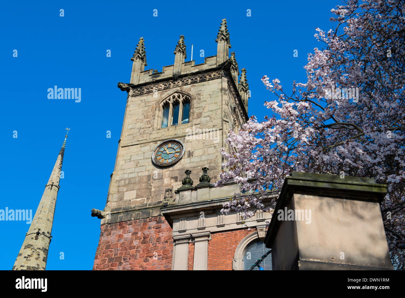 St. Julian's church and blossom, Shrewsbury, Shropshire, England Stock