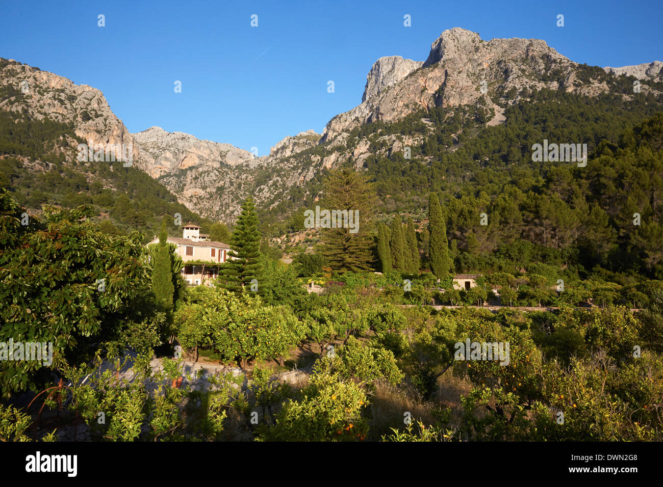 Sierra Tramontana, Majorca, Balearic Islands, Spain, Europe Stock Photo