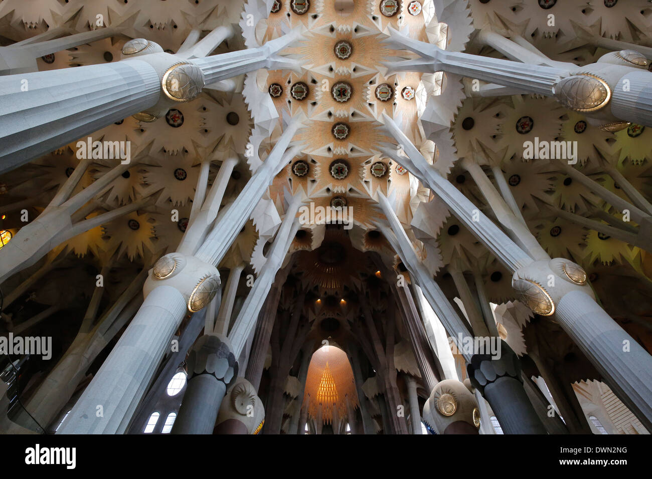 Pillars and ceiling, Sagrada Familia Basilica, Barcelona, Catalonia, Spain, Europe Stock Photo