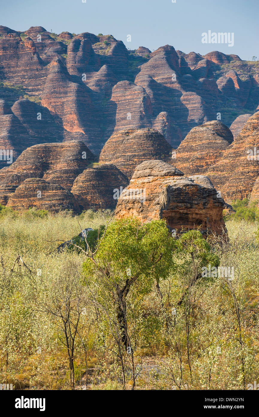 The beehive-like mounds in the Purnululu National Park, UNESCO 