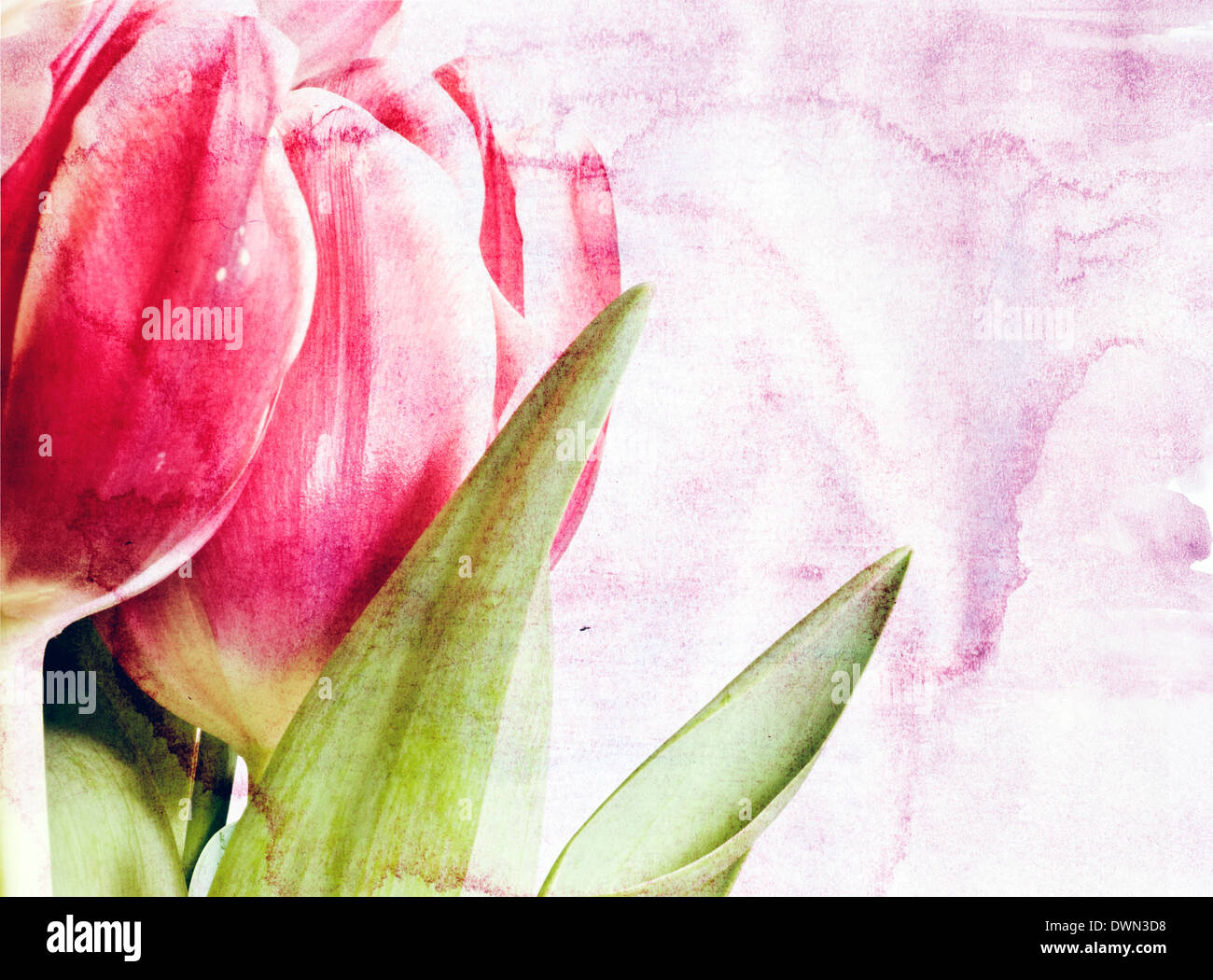 Red spring tulips over vintage background Stock Photo