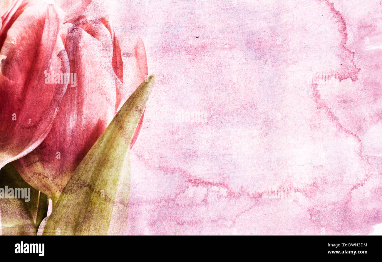 Red spring tulips over vintage background Stock Photo