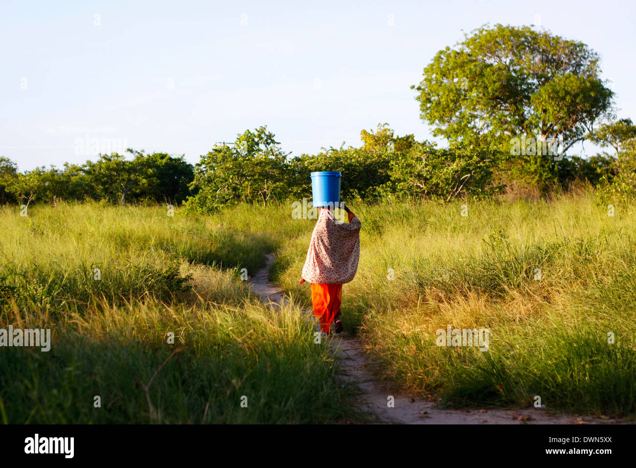 Woman walks across the bush caring a bucket full of water on top of her head in Quirimbas National Park, Mozambique. Stock Photo